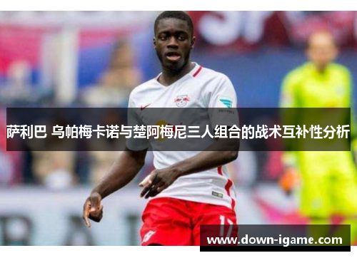 萨利巴 乌帕梅卡诺与楚阿梅尼三人组合的战术互补性分析