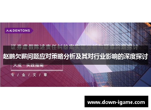 赵鹏欠薪问题应对策略分析及其对行业影响的深度探讨 赵鹏欠薪问题应对策略分析及其对行业影响的深度探讨