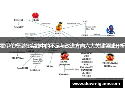 霍伊伦模型在实践中的不足与改进方向六大关键领域分析