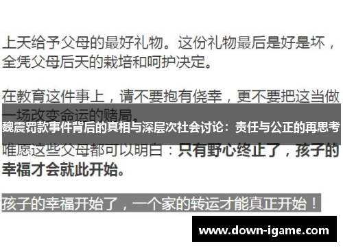 魏震罚款事件背后的真相与深层次社会讨论：责任与公正的再思考